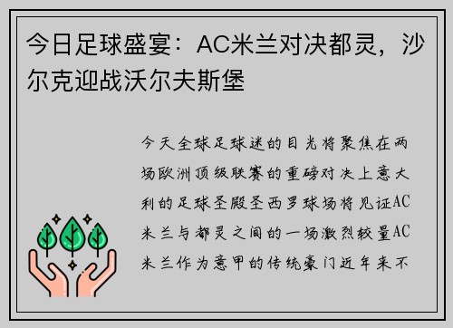 今日足球盛宴：AC米兰对决都灵，沙尔克迎战沃尔夫斯堡